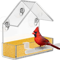 Cat Window Bird Feeder Suction Cup