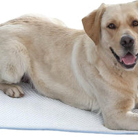 Dog Cooling Mat XL