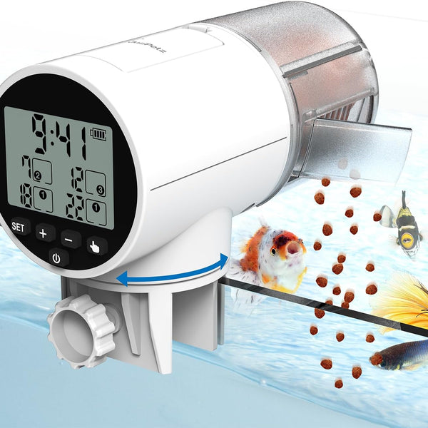 Automatic Fish Feeder Programmable