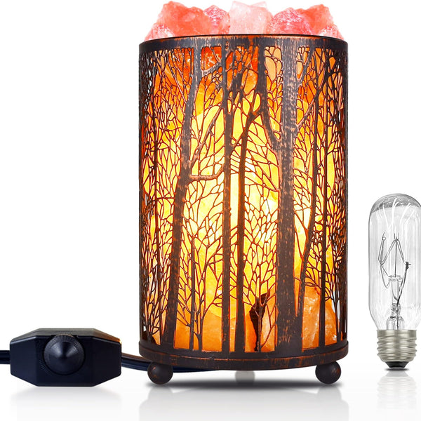 Himalayan Salt Lamp with Dimmer