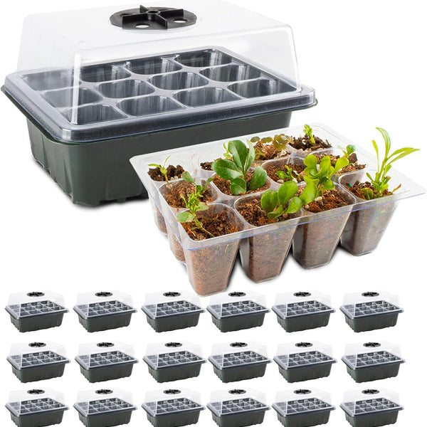 Seed Starter Kit Indoor Herb 10-Cell