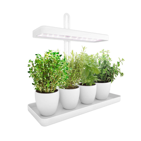 Indoor Herb Garden Kit LED Grow Light