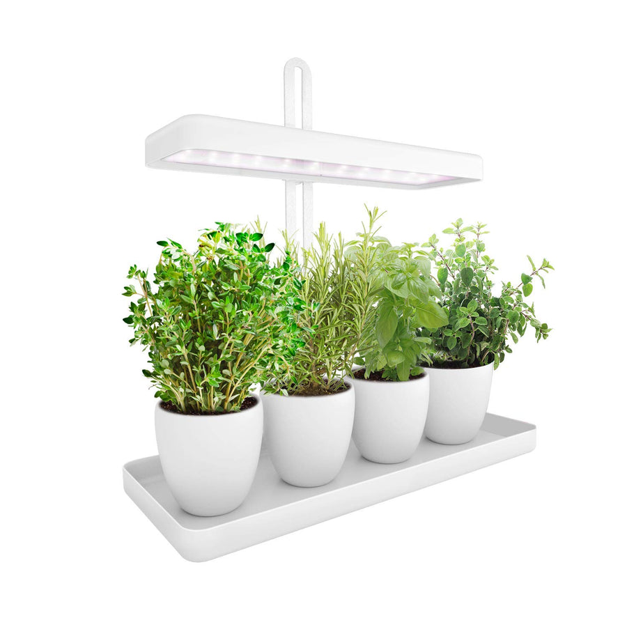 Indoor Herb Garden Kit LED Grow Light