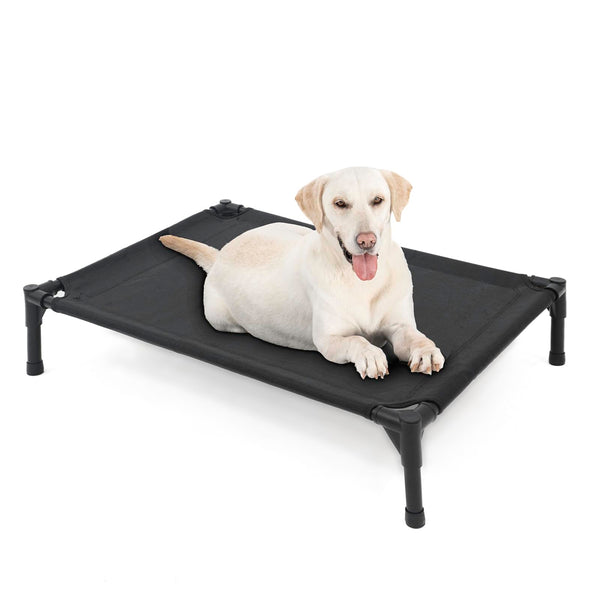 Elevated Orthopedic Pet Cot