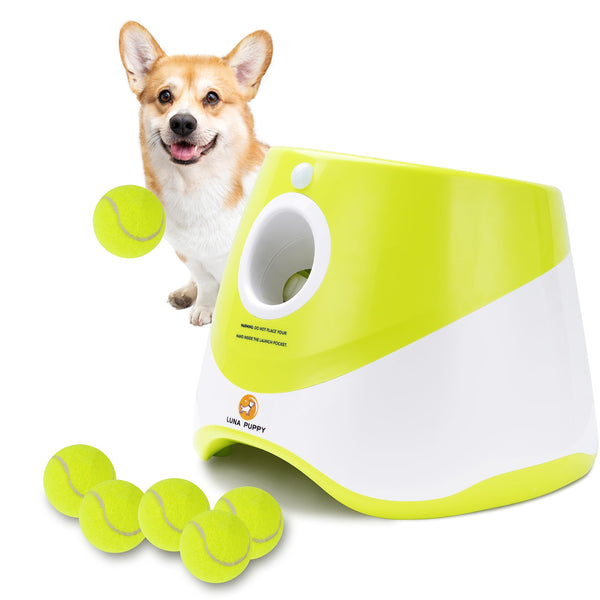 Automatic Dog Ball Launcher
