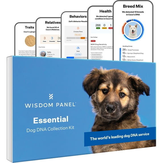 Dog DNA Test Kit