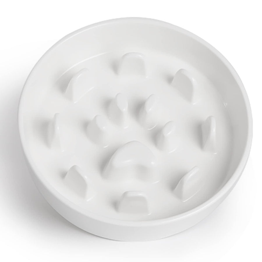 Slow Feeder Dog Bowl