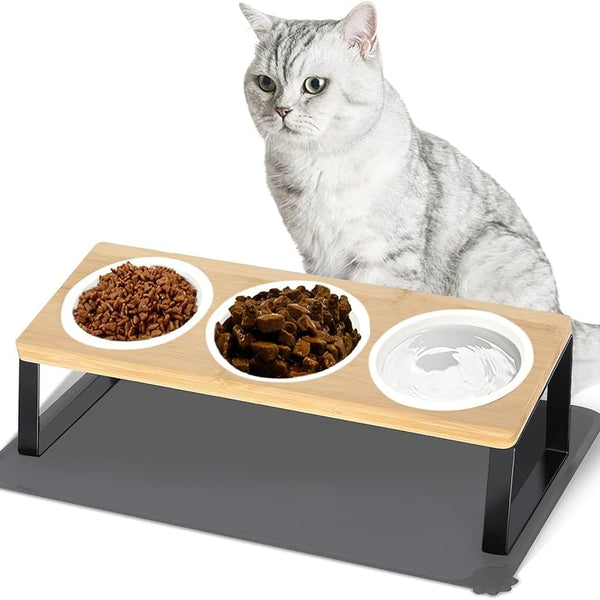 Elevated Cat Feeding Station