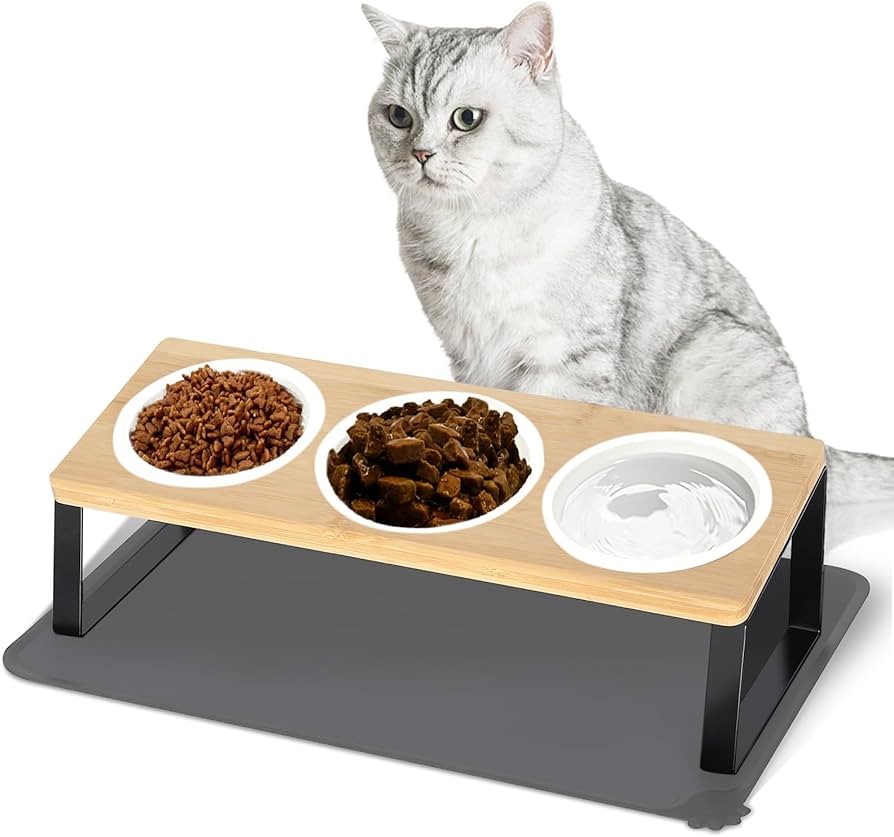 Elevated Cat Feeding Station