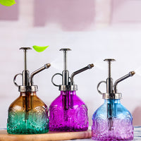 Plant Mister Spray Bottle Glass 16oz