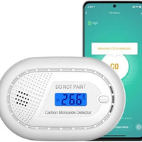 Smart Carbon Monoxide Detector WiFi