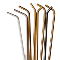 Stainless Steel Reusable Straws 12-Pack