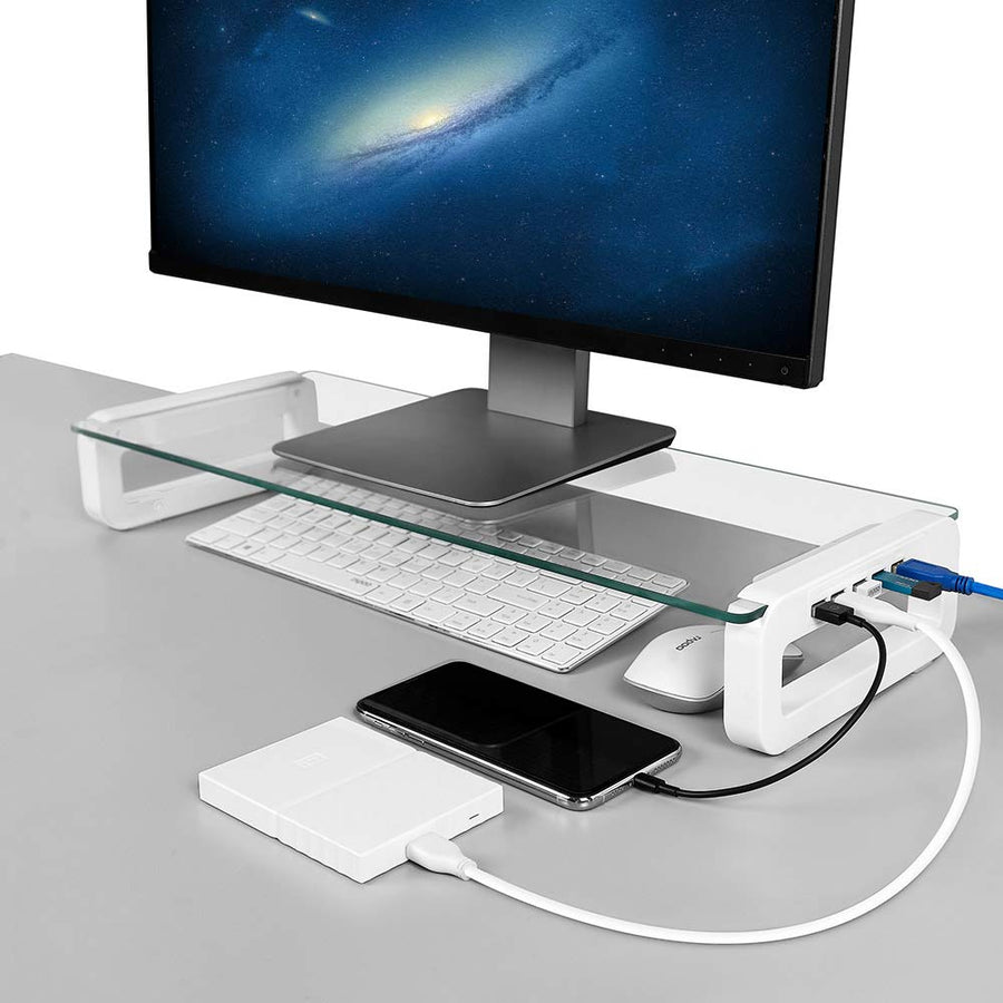 Monitor Riser with USB Hub Stand