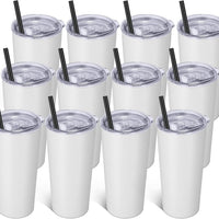 Stainless Steel Insulated Tumbler 20oz